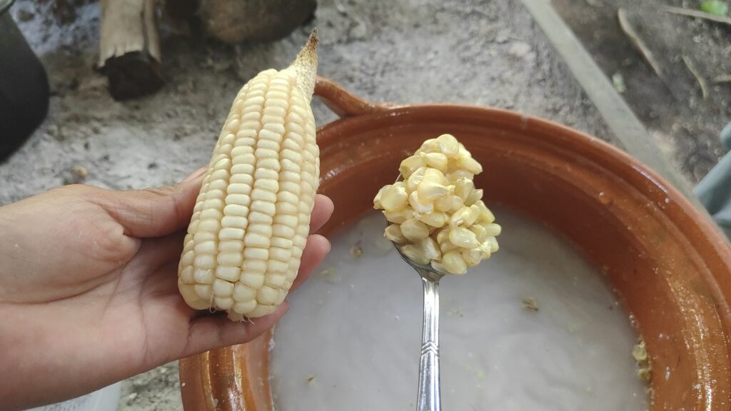 トウモロコシのアルカリ処理