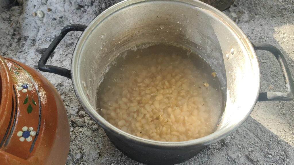 トウモロコシのアルカリ処理